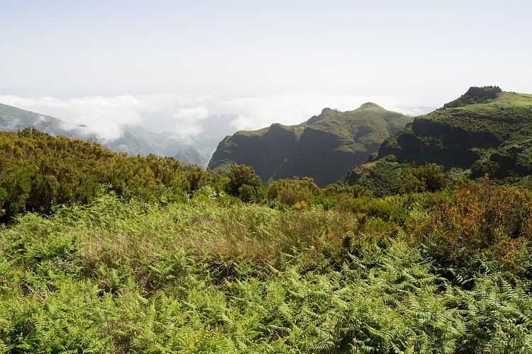 Poco da Neve (Madeira - Pico do Arieiro)