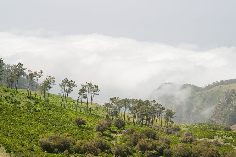 Poco da Neve (Madeira - Pico do Arieiro)