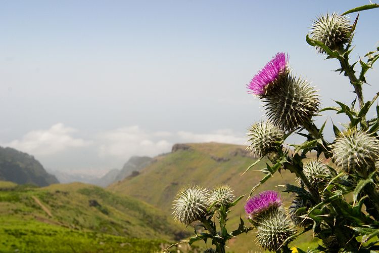 Poco da Neve (Madeira - Pico do Arieiro)