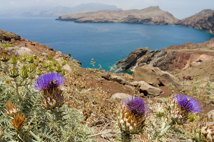 Ponta de Sao Lourenco (Madeira - Wanderung)
