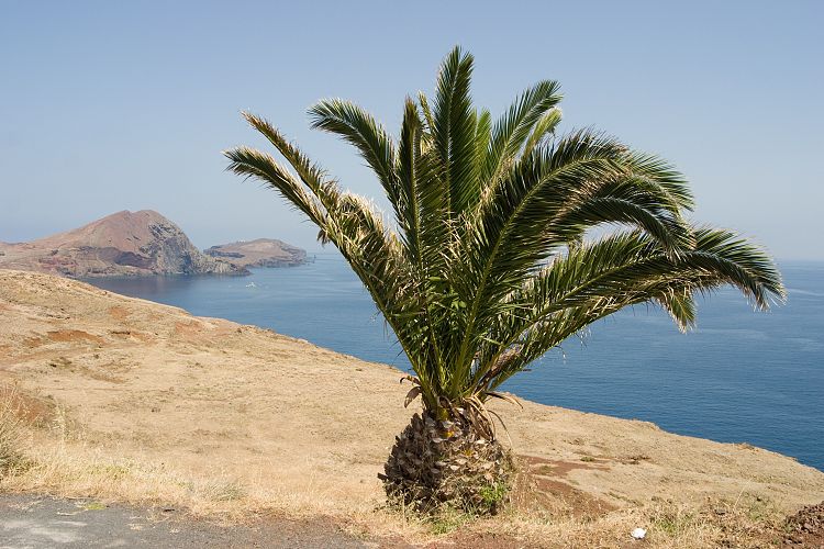 Ponta de Sao Lourenco (Madeira - Wanderung)