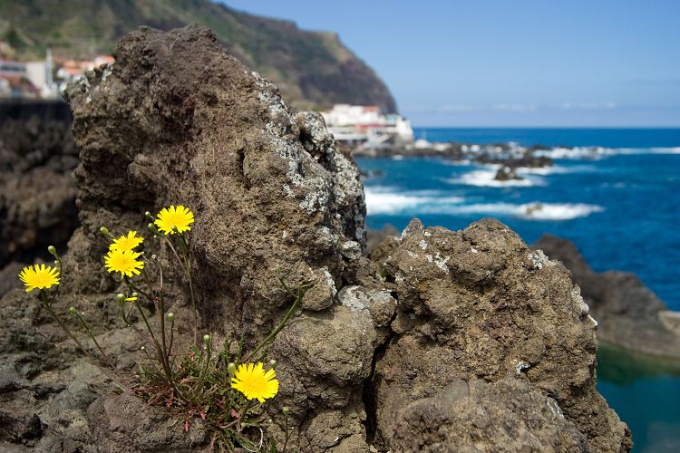 Porto Moniz (Madeira - Westkste)