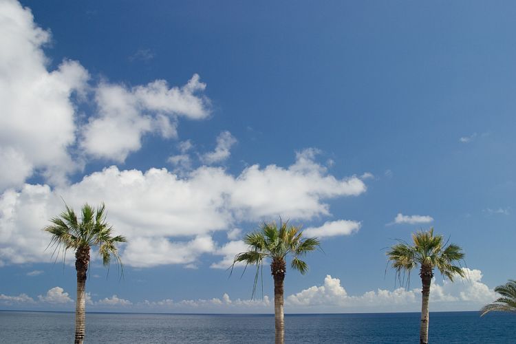 Promenade Funchal (Madeira - Cabo Girao)