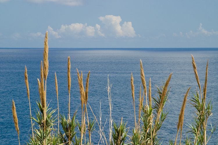 Promenade Funchal (Madeira - Cabo Girao)