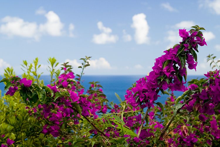 Promenade Funchal (Madeira - Cabo Girao)