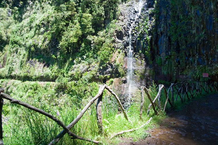 Rabacal - 25 Quellen - Risco (Madeira - Rabacal)