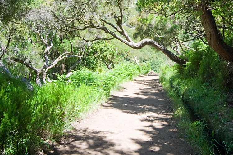 Rabacal - 25 Quellen - Risco (Madeira - Rabacal)