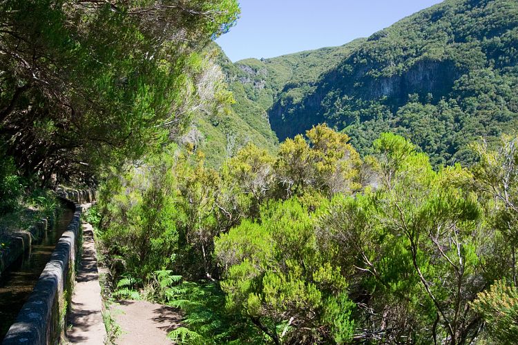 Rabacal - 25 Quellen - Risco (Madeira - Rabacal)
