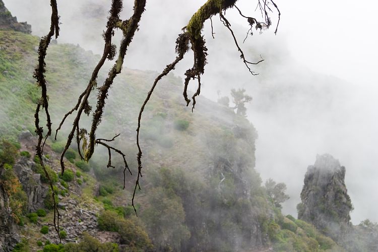 Ruivo - Arieiro (Madeira - Pico Ruivo)