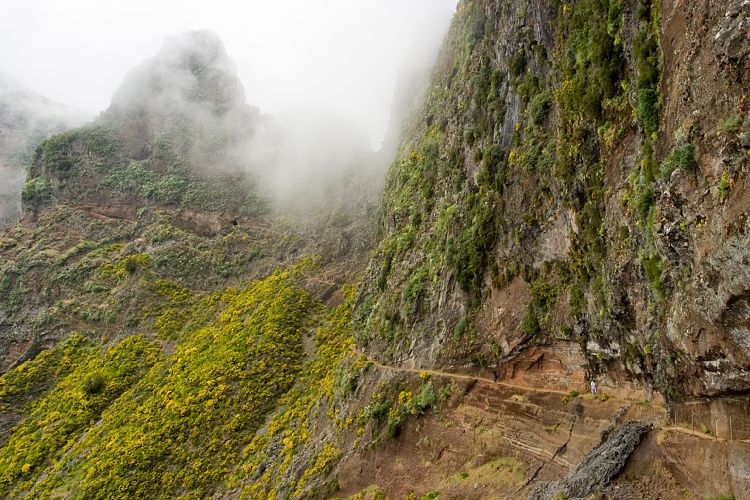 Ruivo - Arieiro (Madeira - Pico Ruivo)