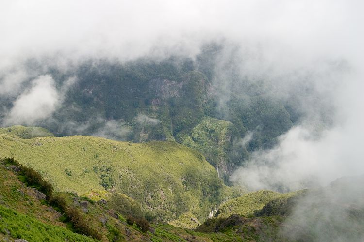 Wanderung Pico Ruivo (Madeira - Pico Ruivo)