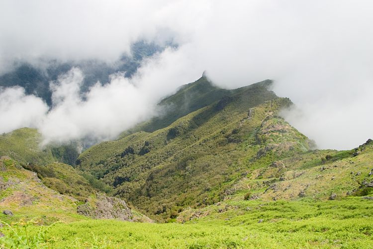 Wanderung Pico Ruivo (Madeira - Pico Ruivo)