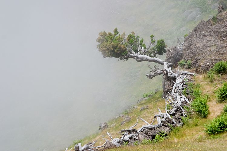 Wanderung Pico Ruivo (Madeira - Pico Ruivo)