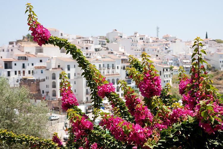 Frigiliana (Nerja - Frigiliana)