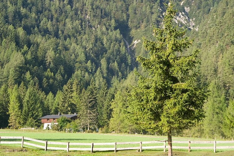 Am Pillersee (Pillerseetal - Am Pillersee)