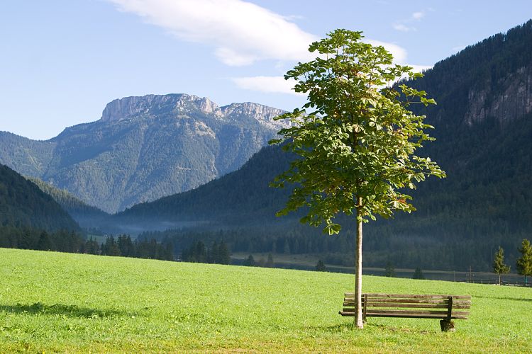 Am Pillersee (Pillerseetal - Am Pillersee)