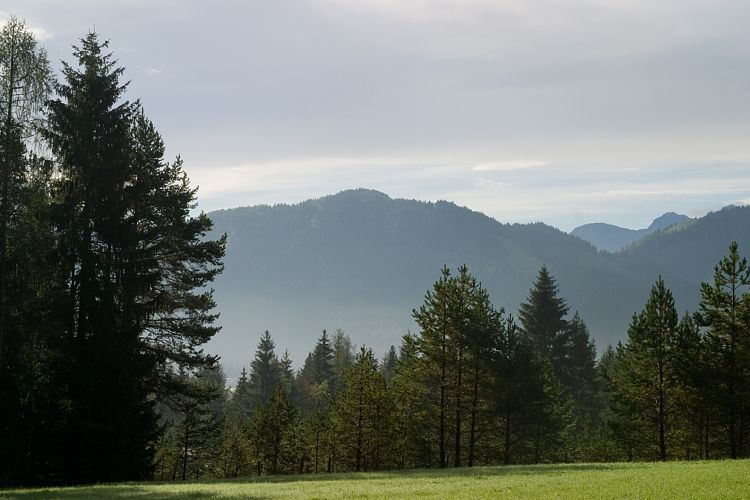 Am Pillersee (Pillerseetal - Am Pillersee)