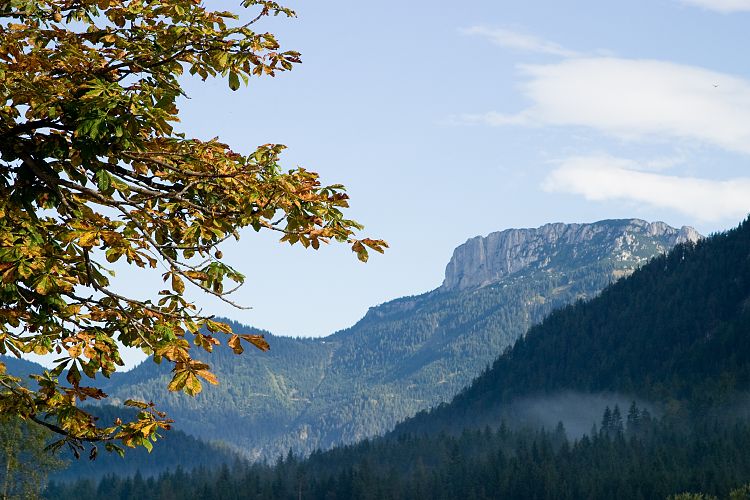 Am Pillersee (Pillerseetal - Am Pillersee)