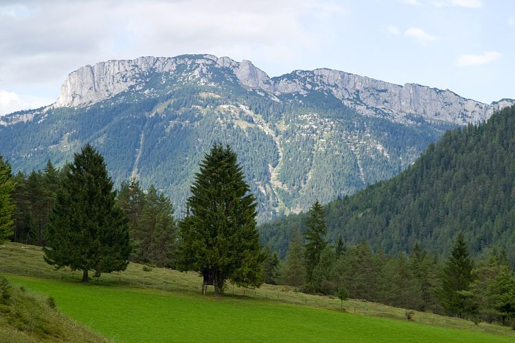 Am Pillersee (Pillerseetal - Am Pillersee)
