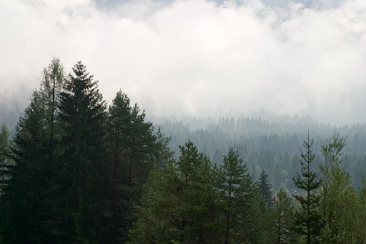 Am Pillersee (Pillerseetal - Teufelsklamm & Ellmau)