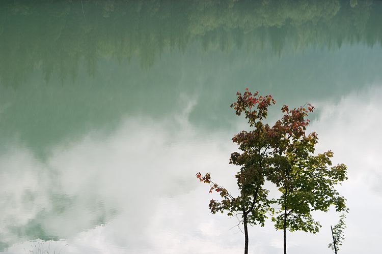 Am Pillersee (Pillerseetal - Teufelsklamm & Ellmau)