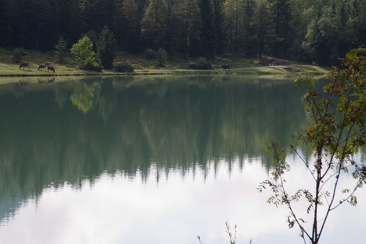 Am Pillersee (Pillerseetal - Teufelsklamm & Ellmau)