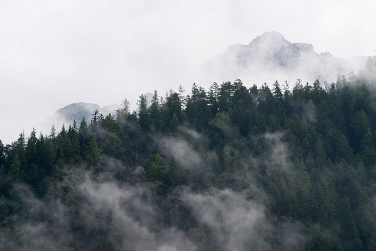 Am Pillersee (Pillerseetal - Teufelsklamm & Ellmau)