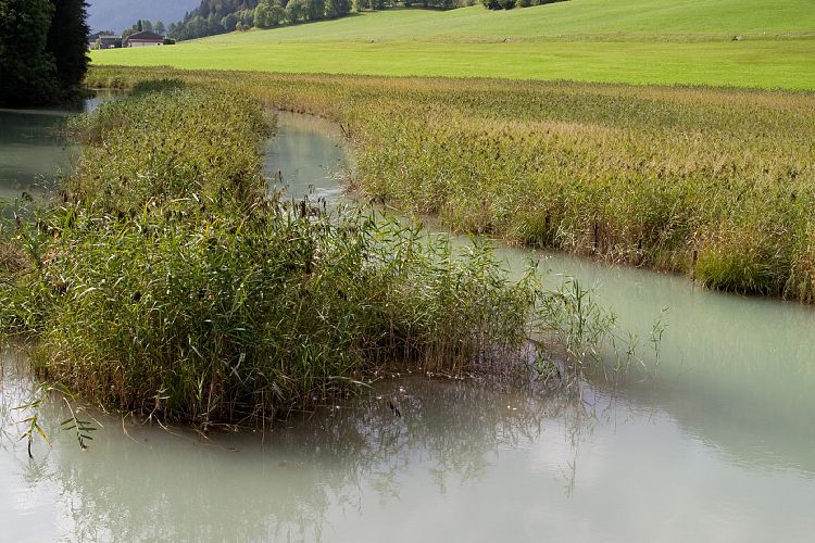 Am Pillersee (Pillerseetal - Teufelsklamm & Ellmau)