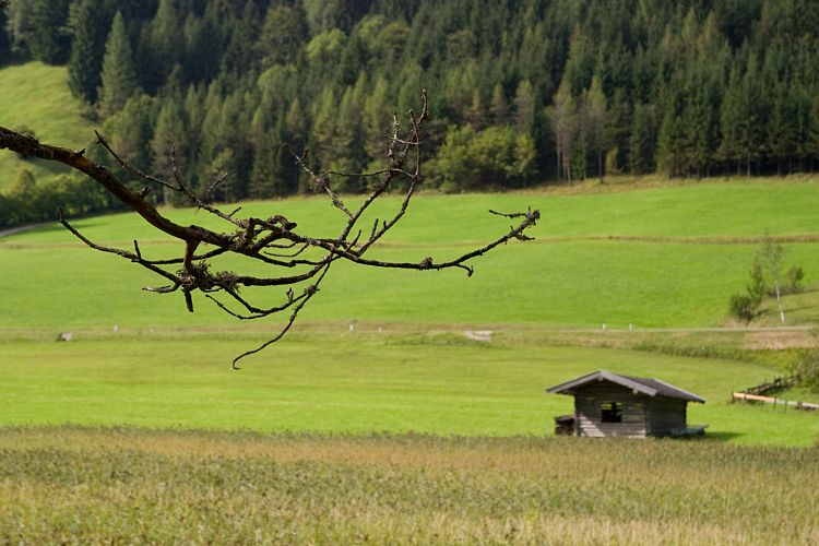 Am Pillersee (Pillerseetal - Teufelsklamm & Ellmau)