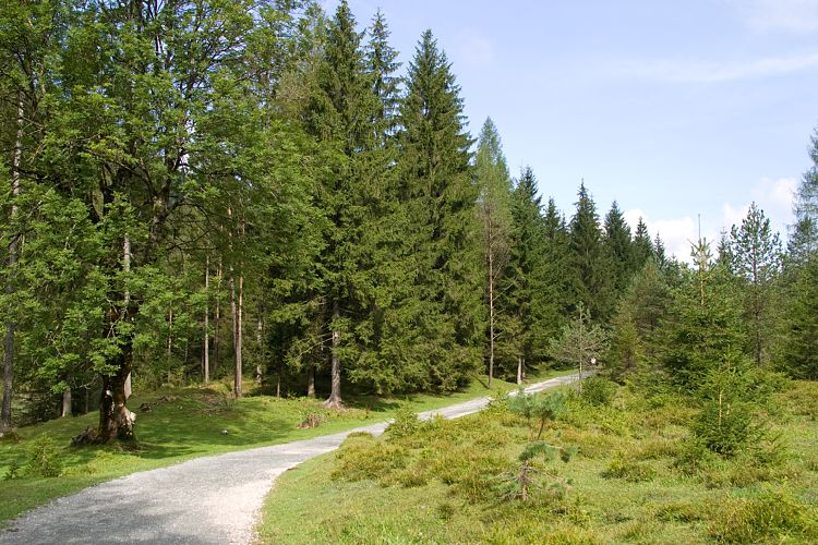 Am Pillersee (Pillerseetal - Teufelsklamm & Ellmau)