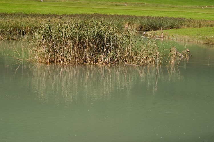 Am Pillersee (Pillerseetal - Teufelsklamm & Ellmau)