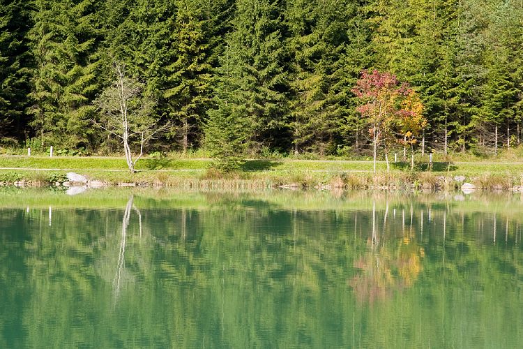 Am Pillersee (Pillerseetal - Jgersteig)