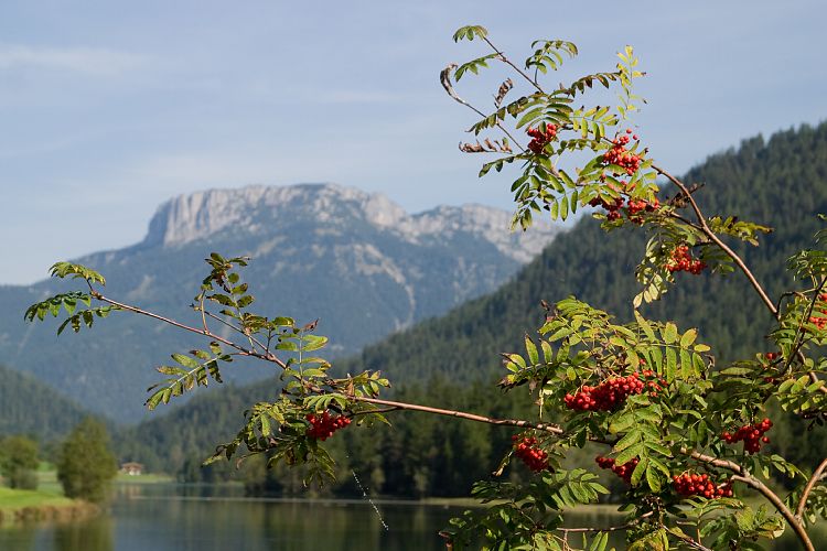 Am Pillersee (Pillerseetal - Jgersteig)