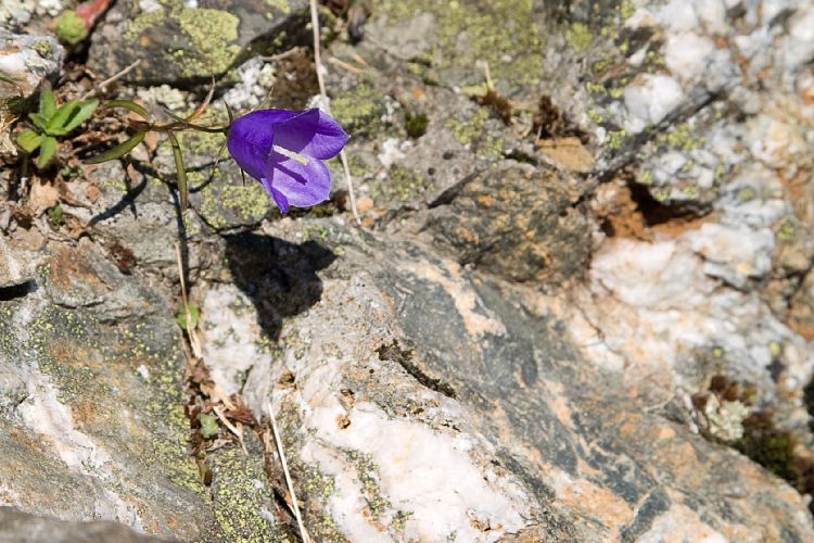 Aufstieg zum Wildseeloder (Pillerseetal - Wanderung)