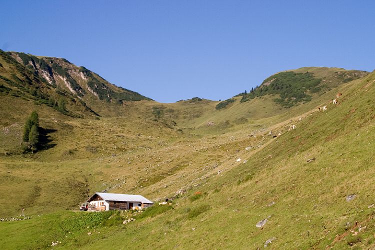 Bergstation - Wildseeloderhaus (Pillerseetal - Wanderung)