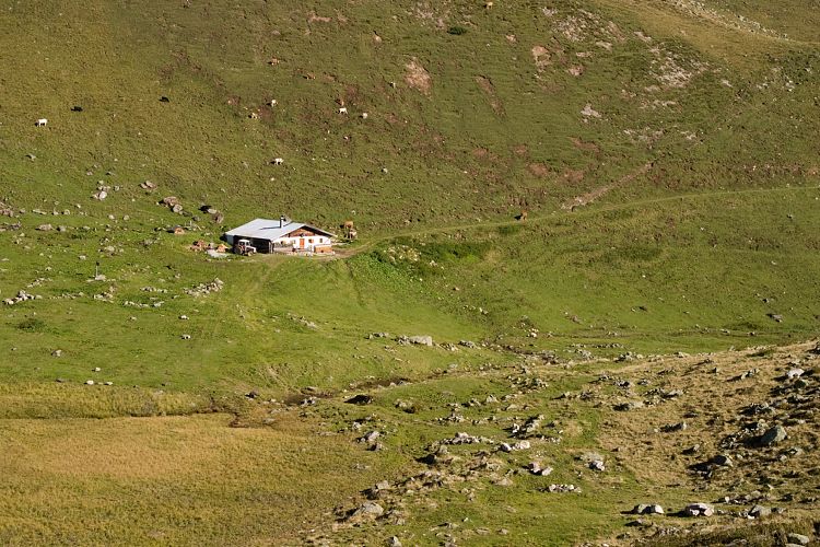 Bergstation - Wildseeloderhaus (Pillerseetal - Wanderung)