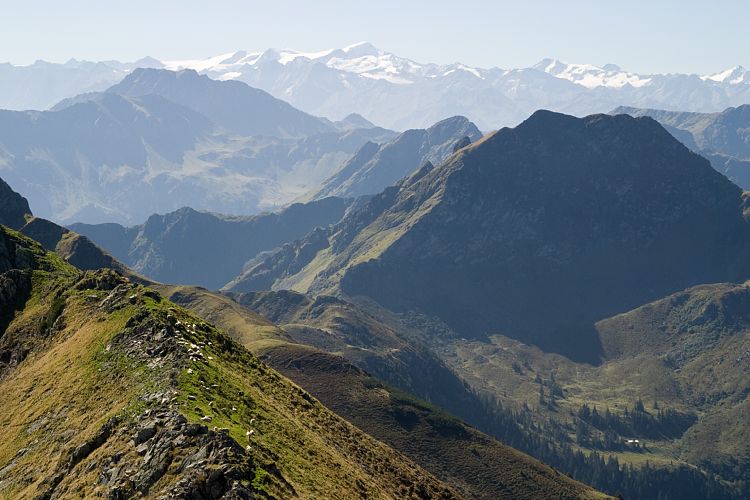 Gipfel des Wildseeloder (Pillerseetal - Wanderung)