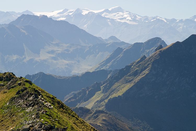 Gipfel des Wildseeloder (Pillerseetal - Wanderung)