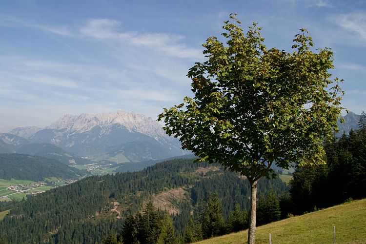 Jgersteig (Pillerseetal - Jgersteig)