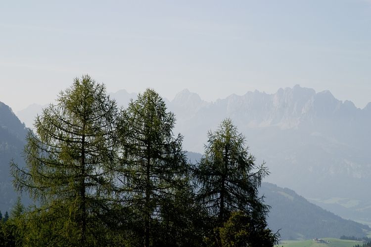 Jgersteig (Pillerseetal - Jgersteig)