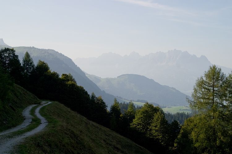 Jgersteig (Pillerseetal - Jgersteig)