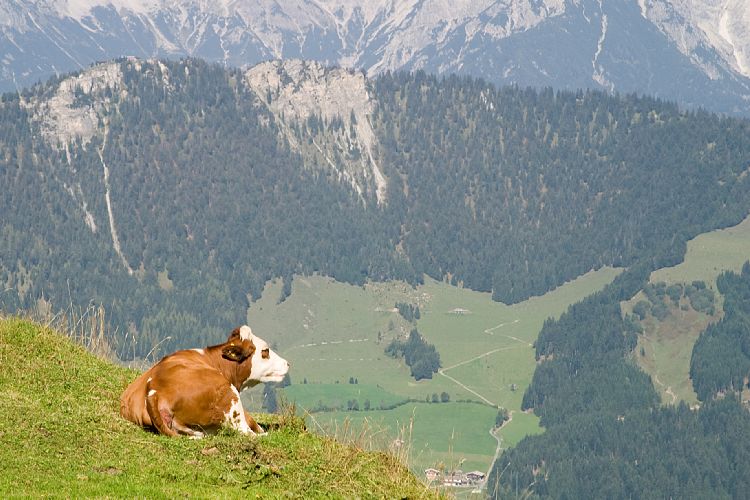 Jgersteig (Pillerseetal - Wanderung)