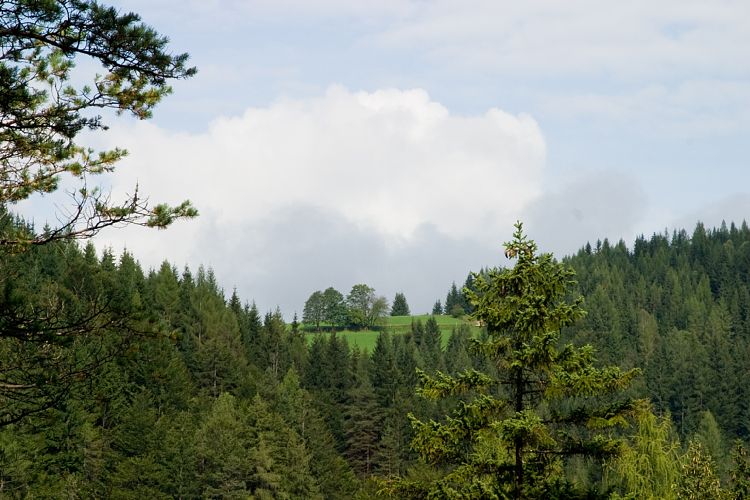 St. Adolari (Pillerseetal - Teufelsklamm & Ellmau)