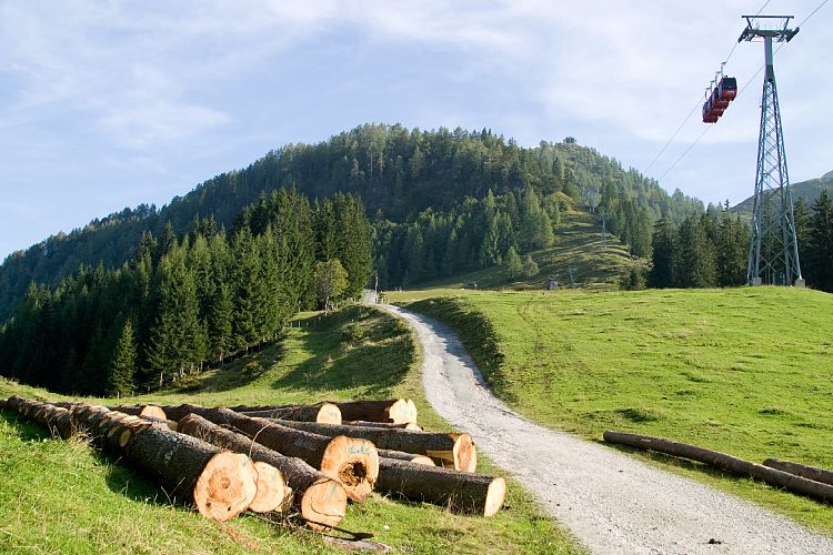 Wildalpgatterl (Pillerseetal - Jgersteig)