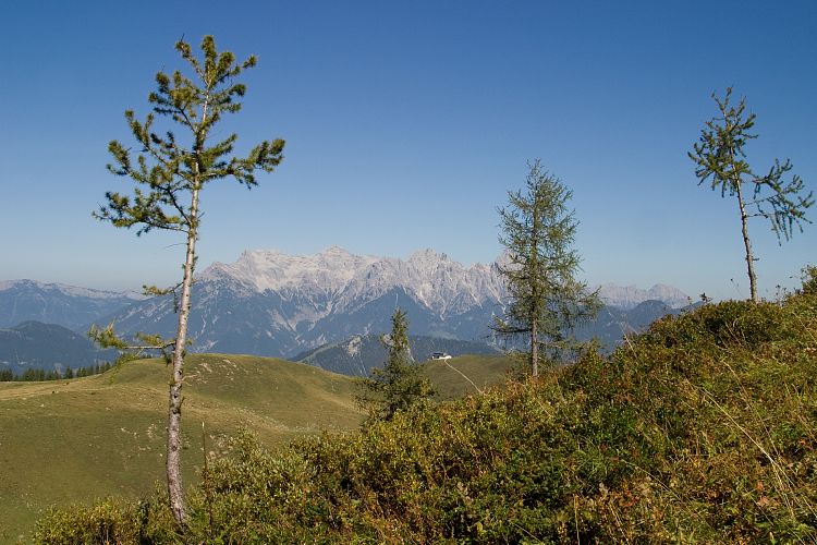 Wildseelodersee - Lrchfilzhochalm (Pillerseetal - Wanderung)