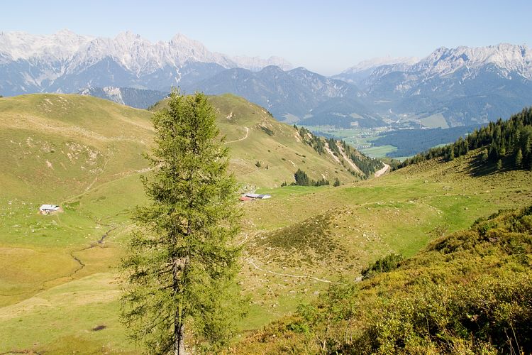 Wildseelodersee - Lrchfilzhochalm (Pillerseetal - Wanderung)