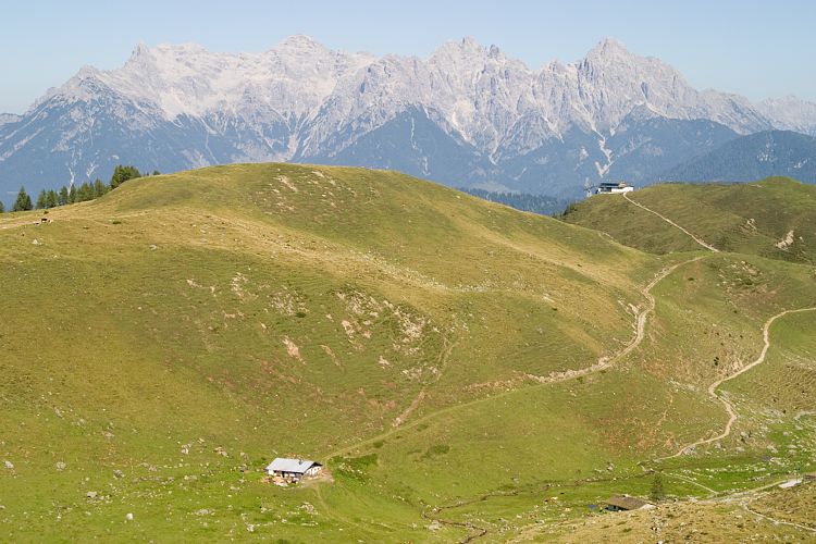 Wildseelodersee - Lrchfilzhochalm (Pillerseetal - Wanderung)