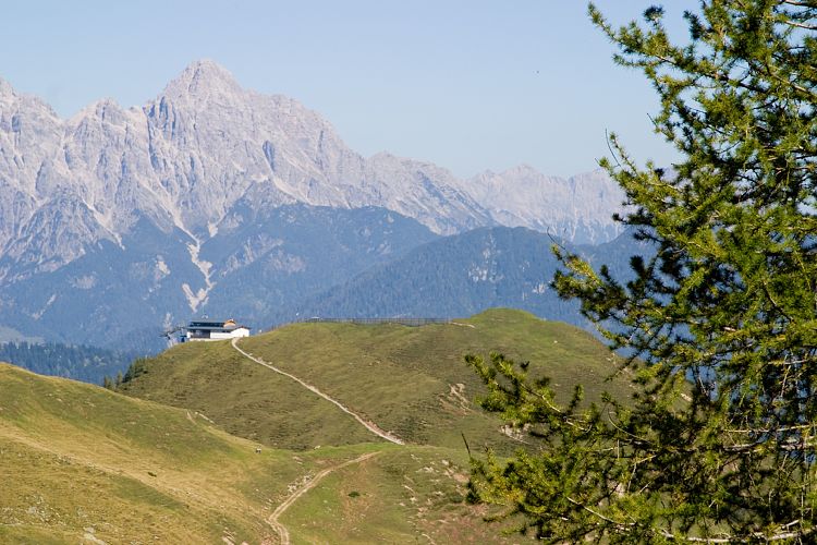 Wildseelodersee - Lrchfilzhochalm (Pillerseetal - Wanderung)