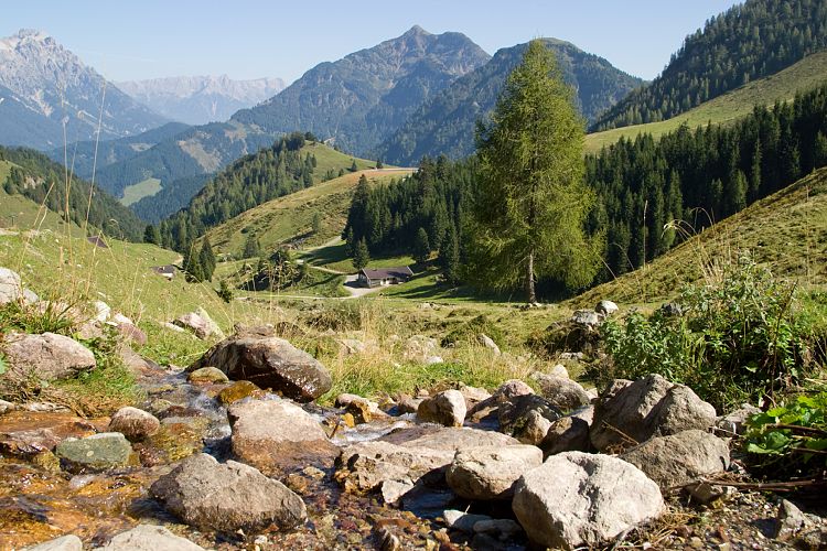 Wildseelodersee - Lrchfilzhochalm (Pillerseetal - Wanderung)