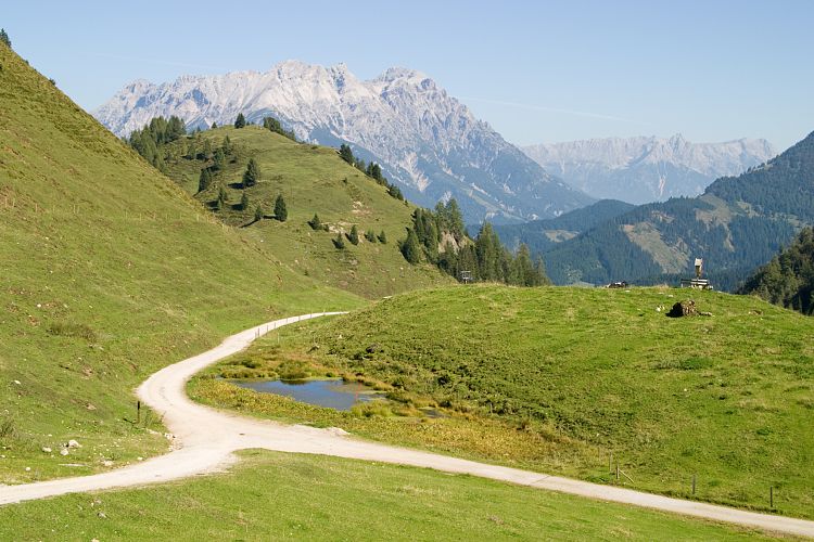 Wildseelodersee - Lrchfilzhochalm (Pillerseetal - Wanderung)